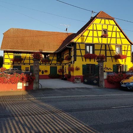 Maison Alsacienne A Andolsheim Lägenhet Exteriör bild